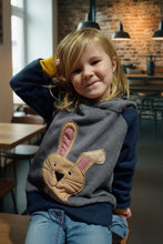 schniesel.Hoppelhasi Grau Blau Senfgelb Pulli